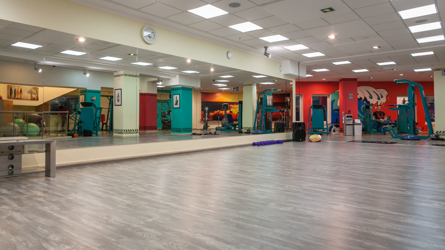 Зеркала для спортзала (тренажерного зала)